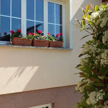 Apartments Place4You Bjelovar Ngoại thất bức ảnh
