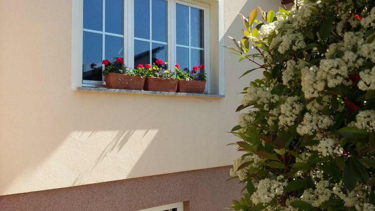 Apartments Place4You Bjelovar Ngoại thất bức ảnh